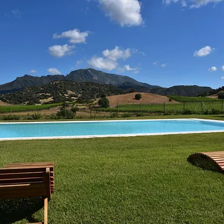 Villa Santu Martine: With Pool Galtellì