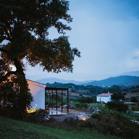 Villa Santu Martine: With Pool Galtelli