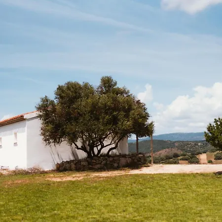 Villa Santu Martine: With Pool