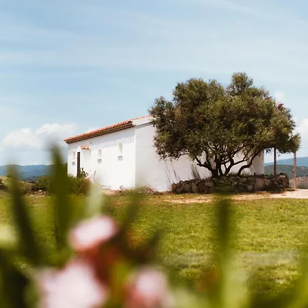 Villa Santu Martine: With Pool Galtelli