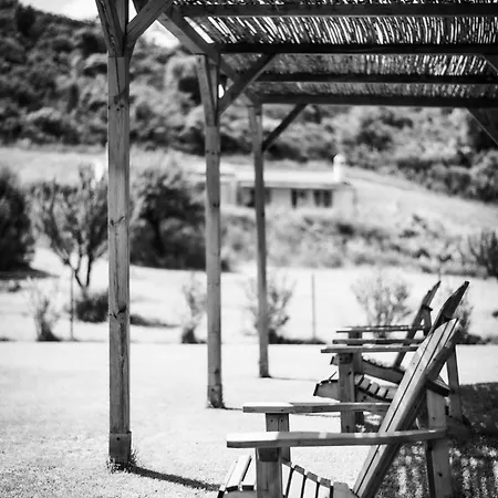 Villa Santu Martine: With Pool Galtellì