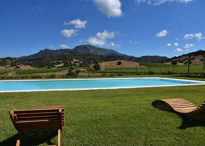 Villa Santu Martine: With Pool Galtellì