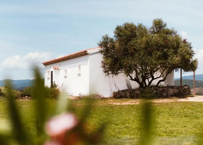 Villa Santu Martine: With Pool Galtellì